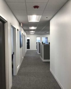 Gray And Clear Cubicals